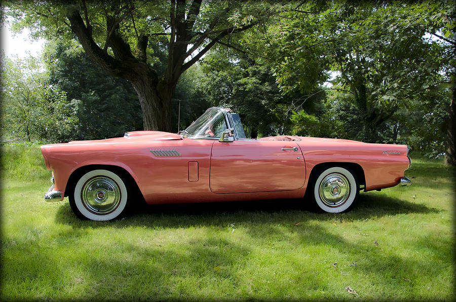 Car Photograph - 1956 Thunderbird - Pink by Bill Cannon