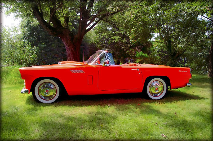 Car Photograph - 1956 Thunderbird - Red by Bill Cannon