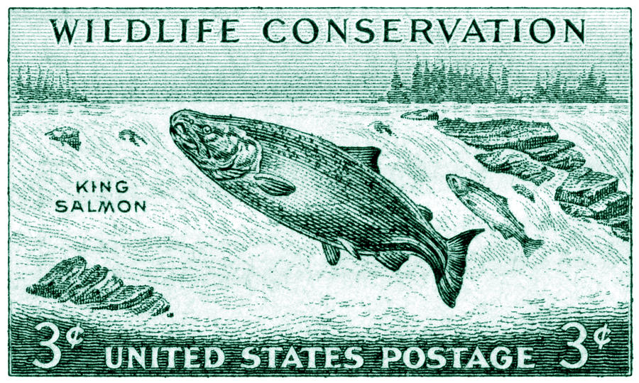Wildlife Painting - 1956 Wildlife Conservation Stamp by Historic Image