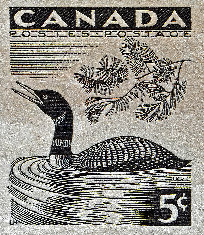 1957 Canada Duck Stamp Photograph