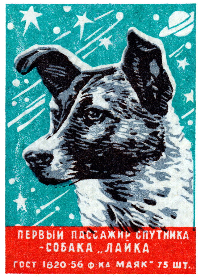 Vintage Painting - 1957 Laika the Space Dog by Historic Image