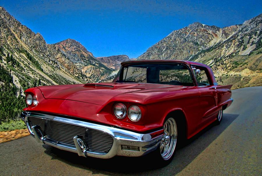 1958 Ford Thunderbird Photograph by Tim McCullough
