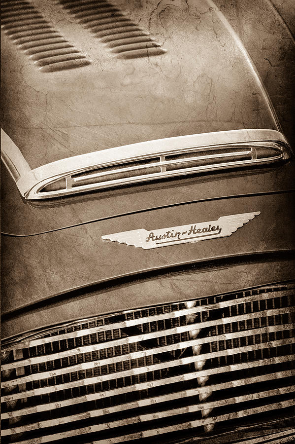 1959 Austin Healey Roadster Hood Emblem Photograph by Jill Reger