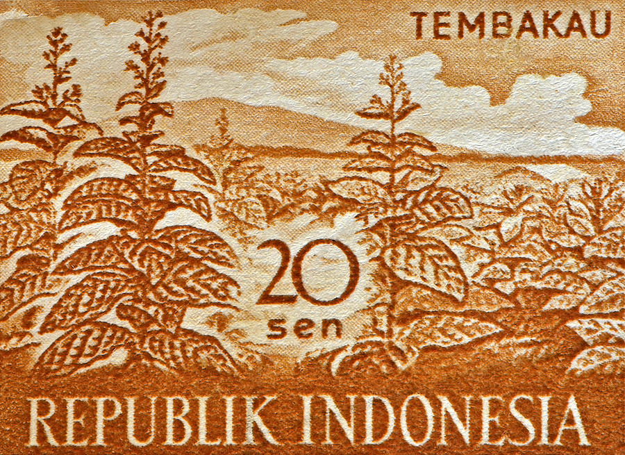 1960 Indonesian Tobacco Plant Stamp Photograph by Bill Owen
