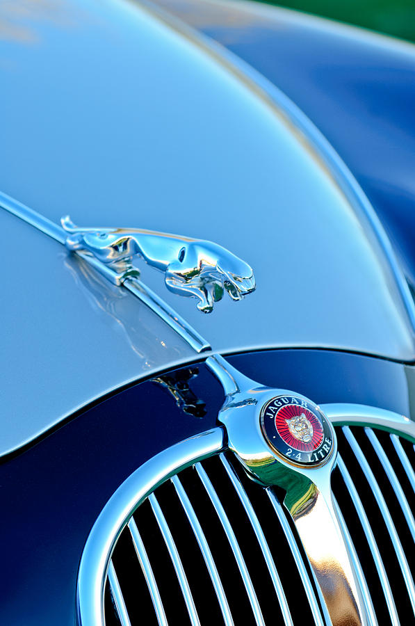 1960 Jaguar Mk II 2.4-liter Saloon Grille Emblem - Hood Ornament Photograph by Jill Reger