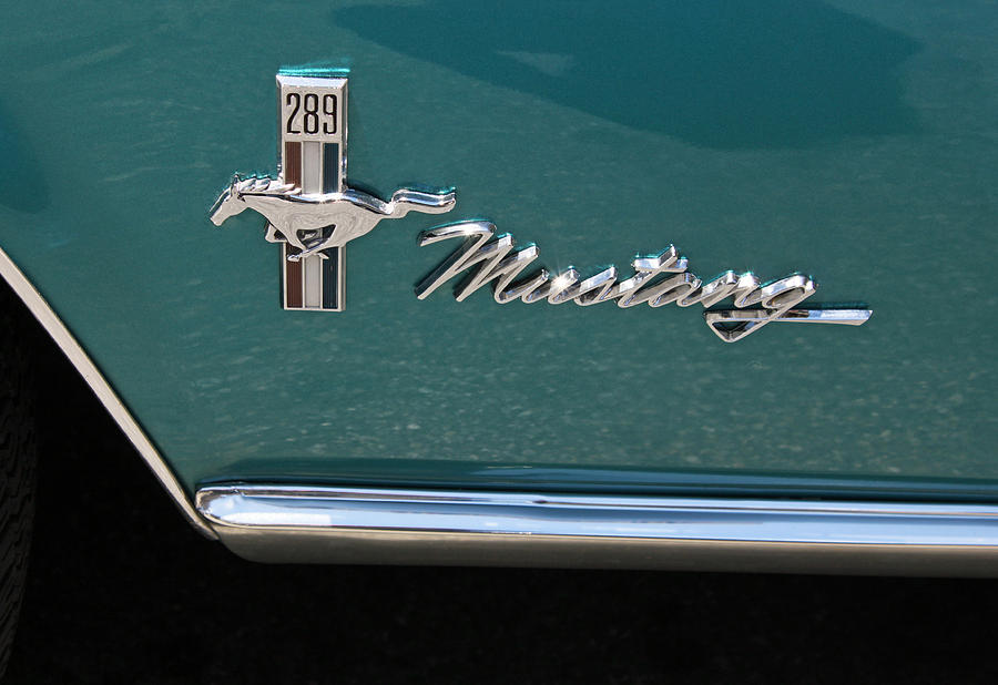 1960 Mustang  Photograph by Suzanne Gaff