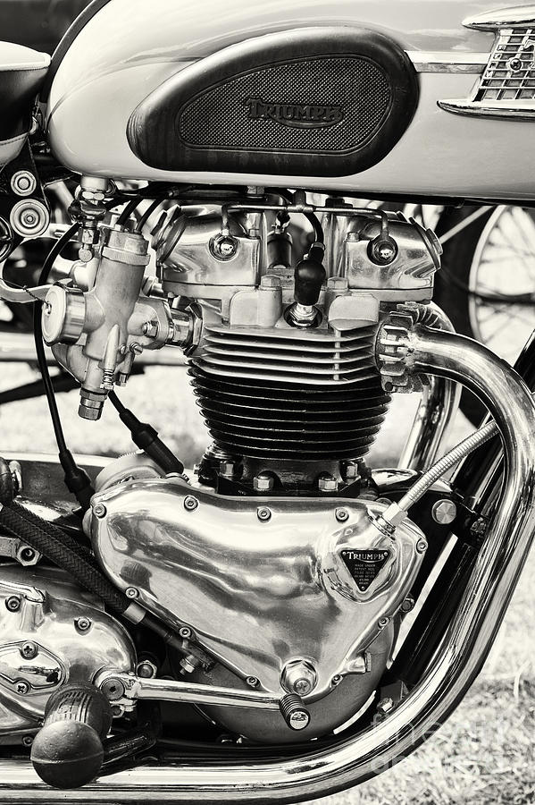 1960 Truimph T120 Bonneville 650cc Photograph by Tim Gainey