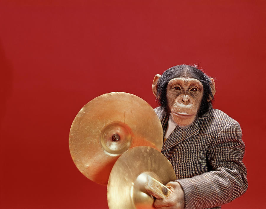 Animal Photograph - 1960s Chimpanzee Wearing Tweed Sports by Vintage Images