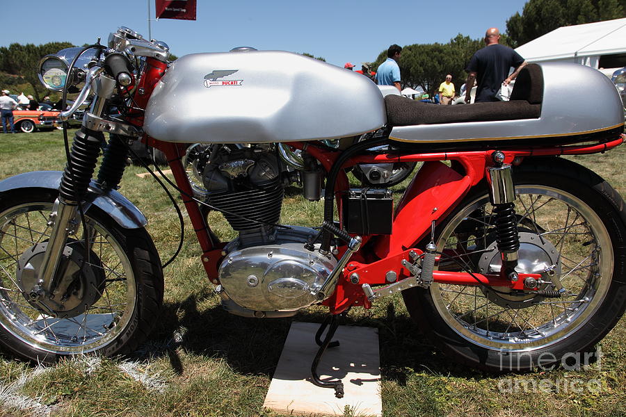 daytona scrambler 250