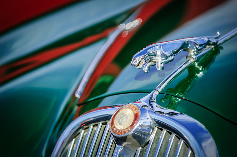 1965 Jaguar S-Saloon Hood Ornament - Emblem -1220c Photograph by Jill Reger