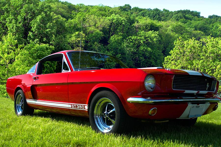 1966 Mustang GT350 Photograph by Tim McCullough