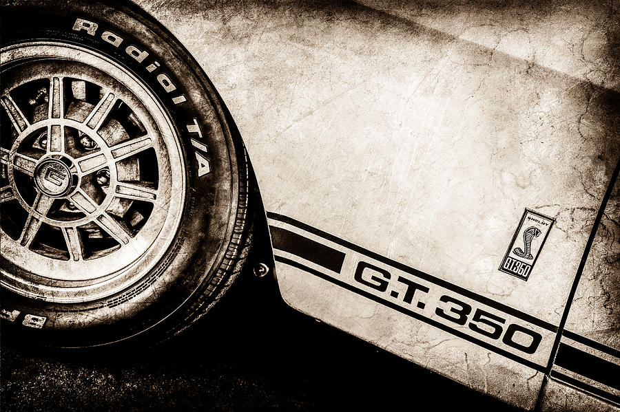 Transportation Photograph - 1965 Shelby GT350 Side Emblem -0775s by Jill Reger