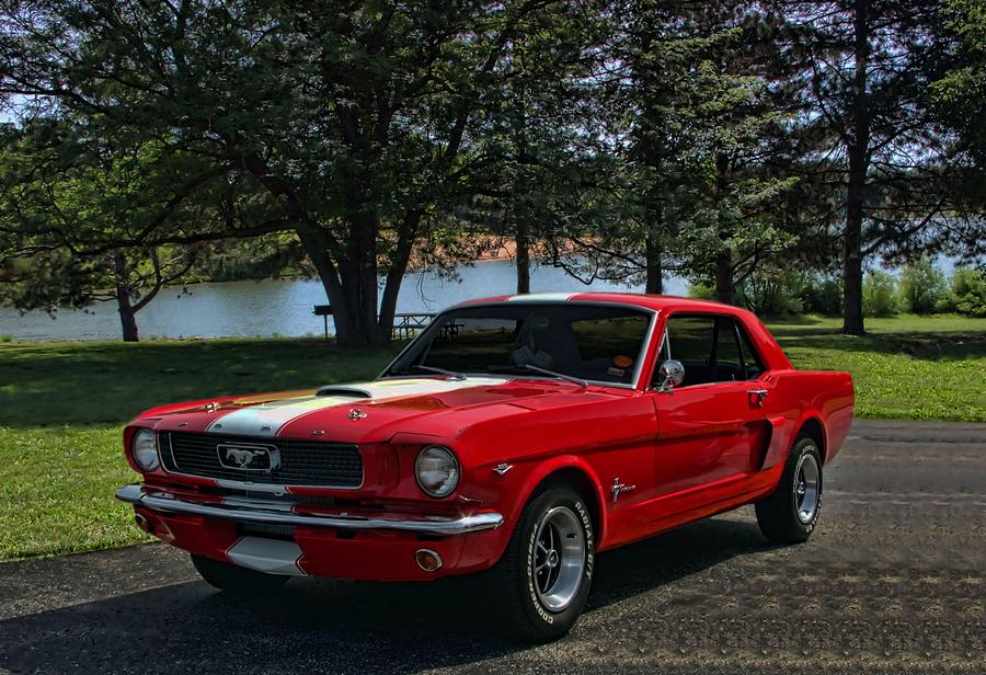 1966 Ford Mustang Photograph by Tim McCullough
