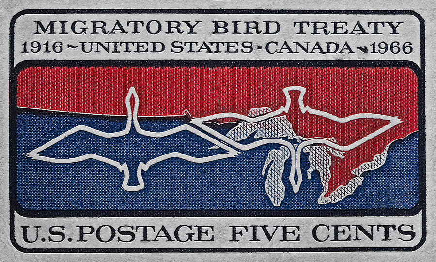 1966 Migratory Bird Treaty Stamp Photograph by Bill Owen