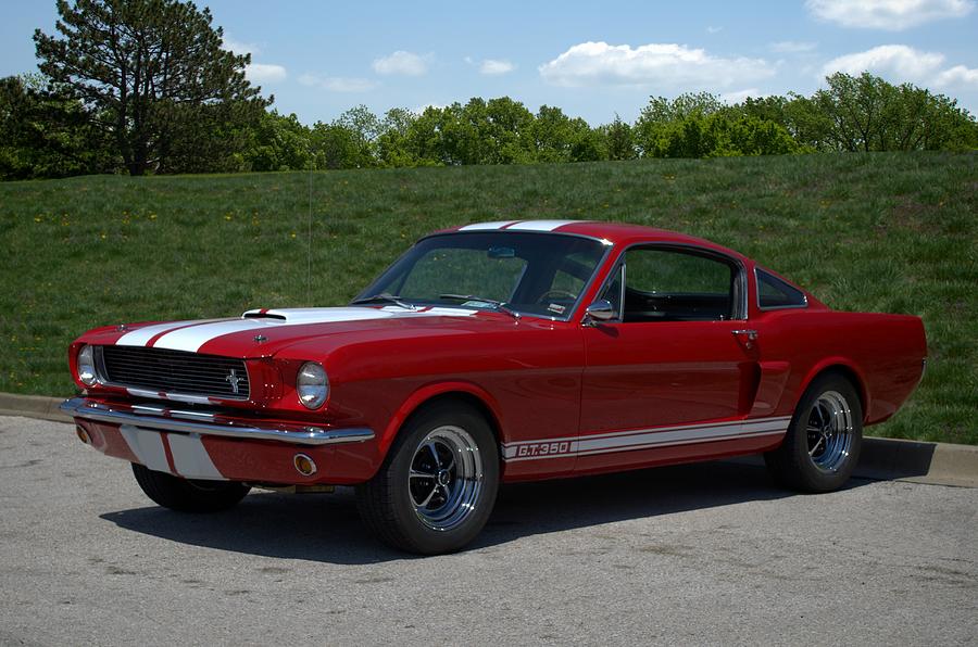 1966 Mustang Fastback GT 350 Photograph by Tim McCullough - Pixels