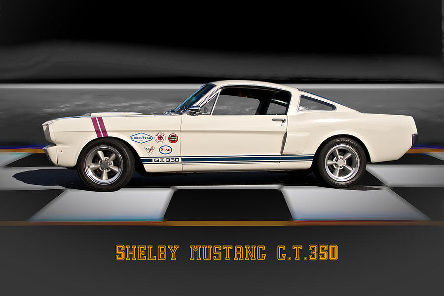 1966 Shelby Mustang G.T.350 Photograph by Dave Koontz