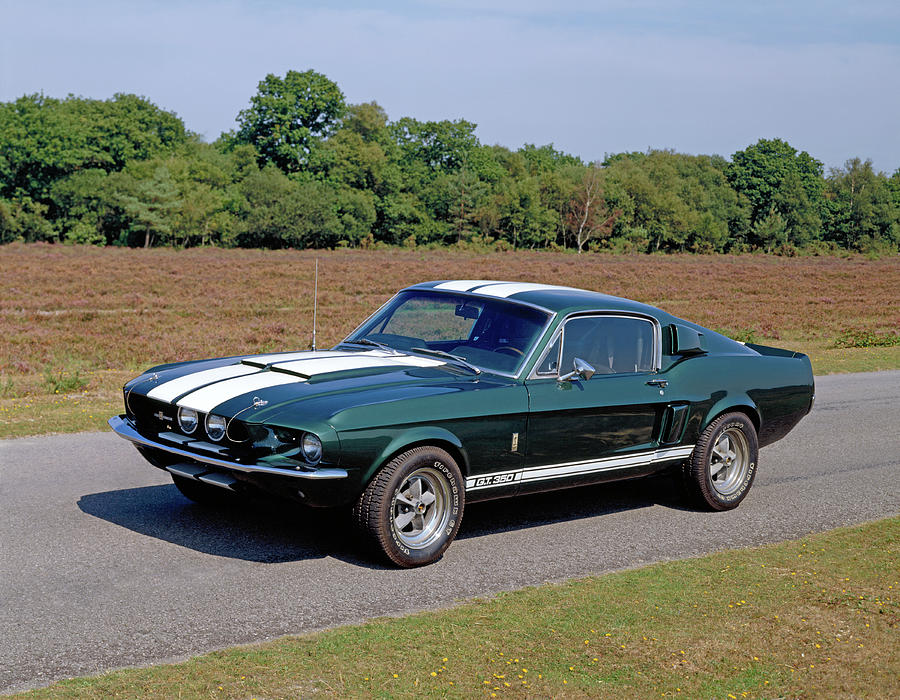 1967 Ford Shelby Cobra 350gt Mustang Photograph by Panoramic Images