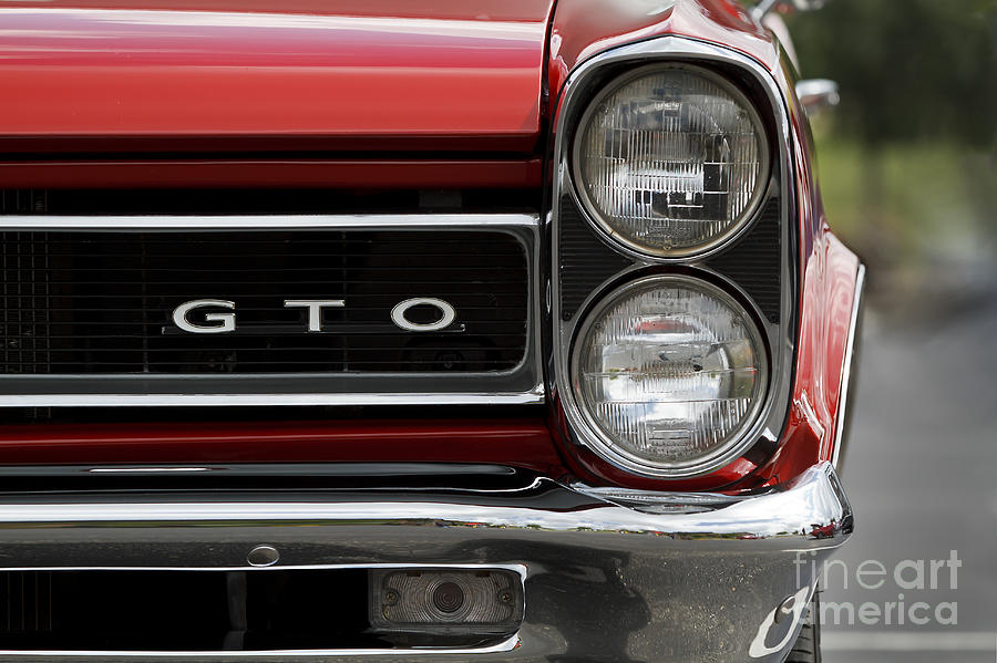 1965 Gto Photograph by Dennis Hedberg