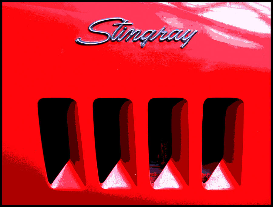1969 Chevrolet Corvette Stingray - XI Photograph by Aurelio Zucco