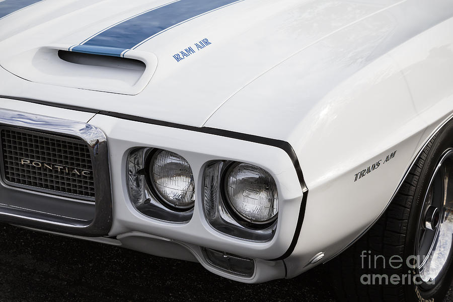 1969 Trans Am Photograph by Dennis Hedberg