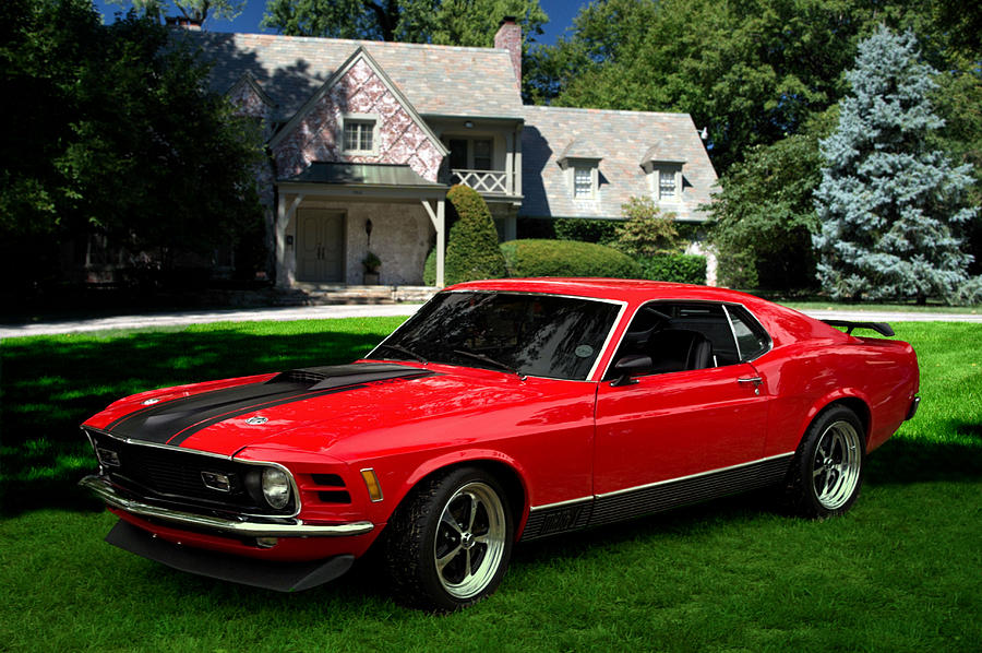 1970 Ford Mustang Mach 1 Photograph by Tim McCullough