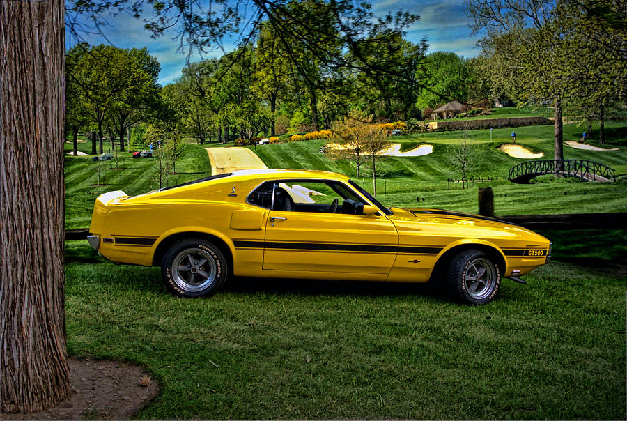 1970 Shelby GT-500 Photograph by Tim McCullough