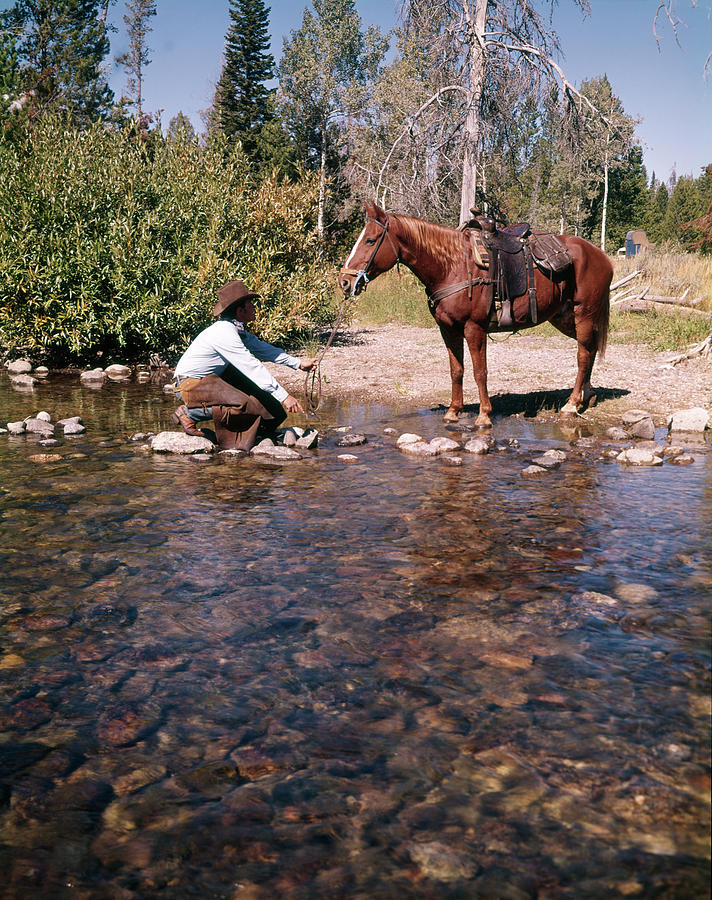 cowboys stream