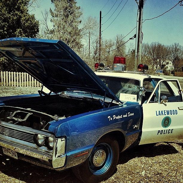 1970s Lakewood Colorado Cop Car! Photograph by Wolf Stumpf