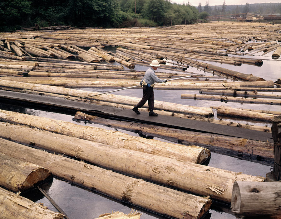 1970s-lumber-yard-mill-pond-worker-photograph-by-vintage-images-pixels