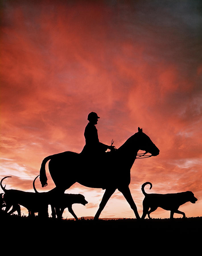 Animal Photograph - 1970s Silhouetted Anonymous Man Riding by Animal Images