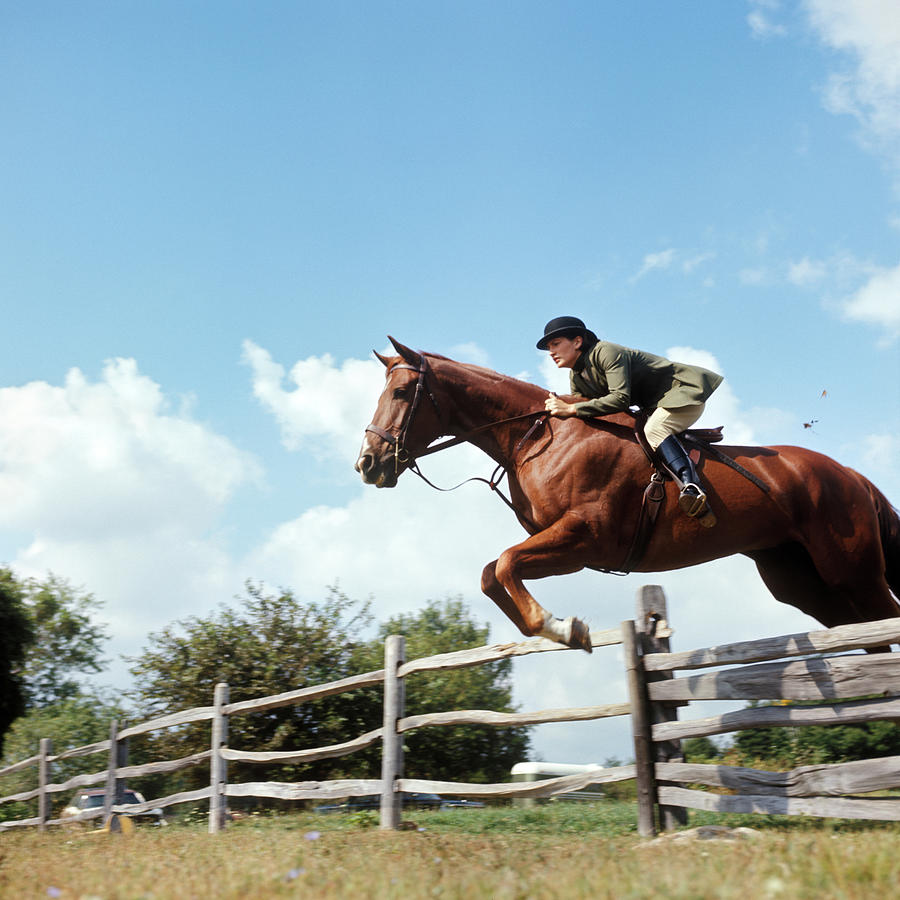 Horizontal Photograph - 1970s Woman Equestrian Rider Jumping by Animal Images Horizontal Photograph - 1970s Woman Equestrian Rider Jumping by Animal Images