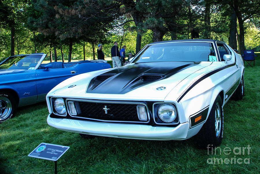 1973 Ford Mustang Mach 1 Photograph by Grace Grogan