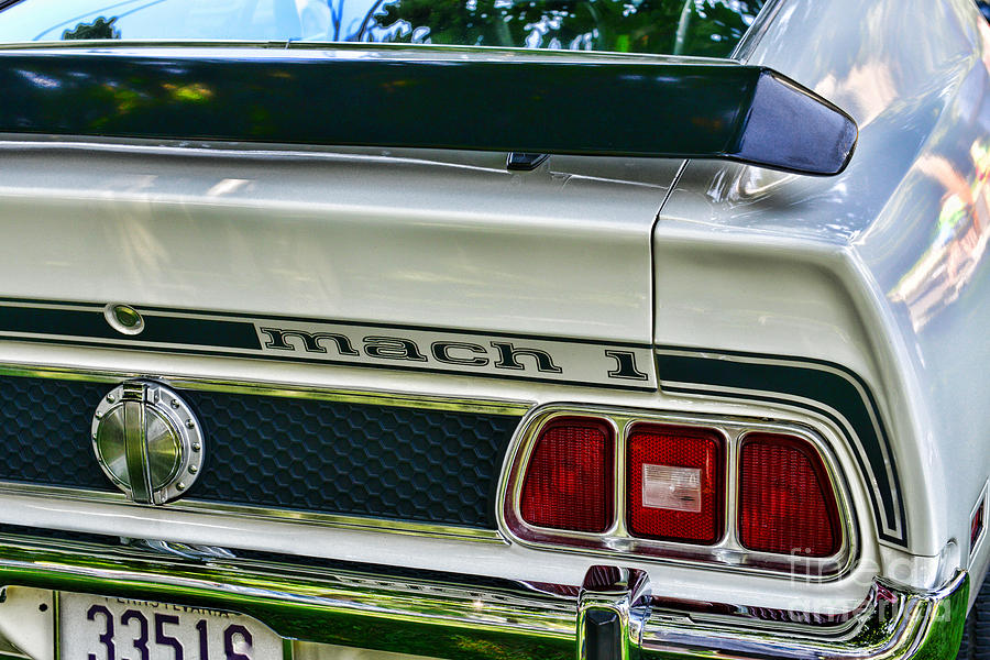1973 Ford Mustang Mach 1 Photograph by Paul Ward