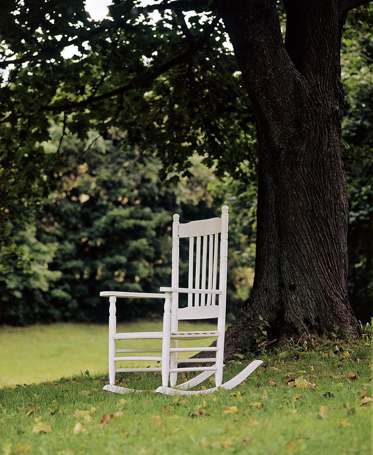 1980s Solitary Single White Painted Photograph by Vintage Images - Fine ...