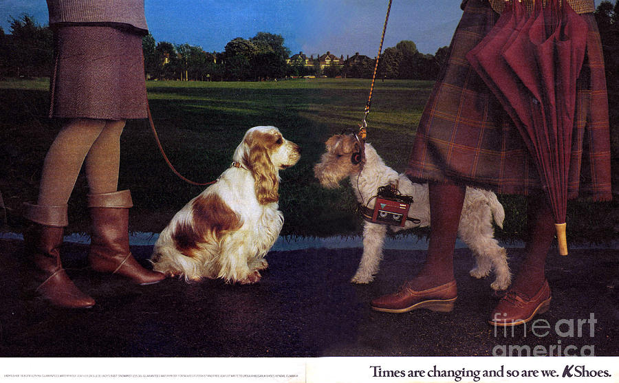 Dog Drawing - 1980s Uk K Shoes Magazine Advert by The Advertising Archives