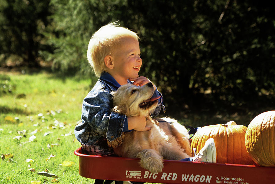 Animal Photograph - 1990s Young Boy Hugging Dog In Wagon by Animal Images