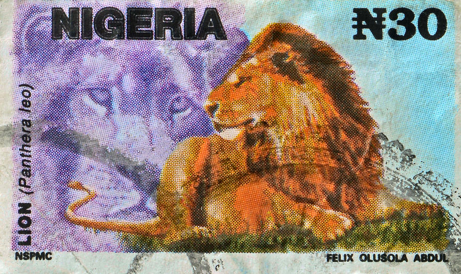 1993 Nigerian Lion Stamp Photograph by Bill Owen
