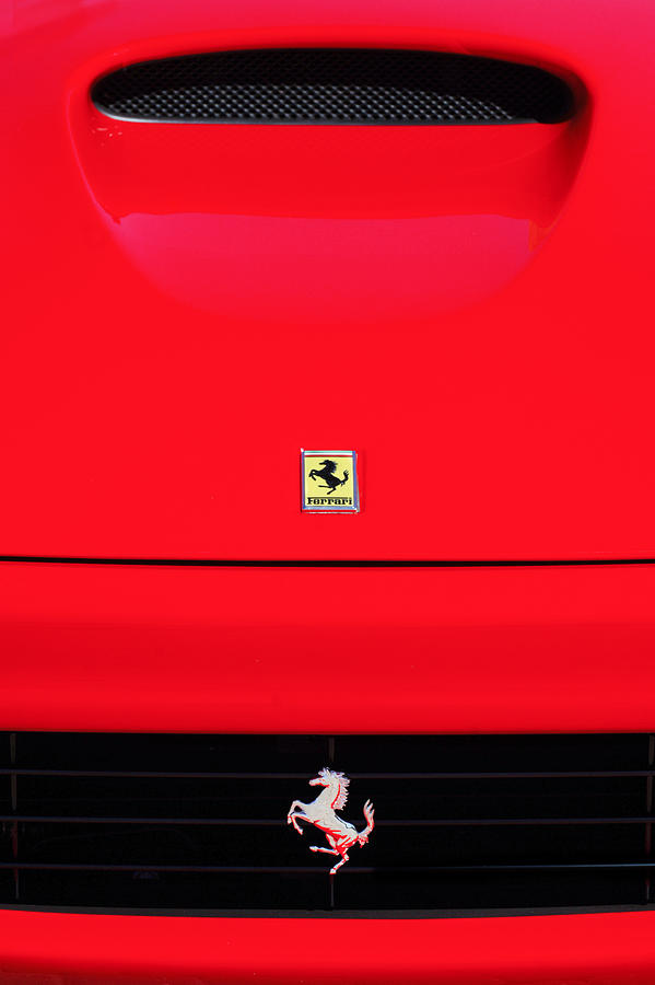 Car Photograph - 1999 Ferrari 550 Maranello Grille - Hood Emblems by Jill Reger