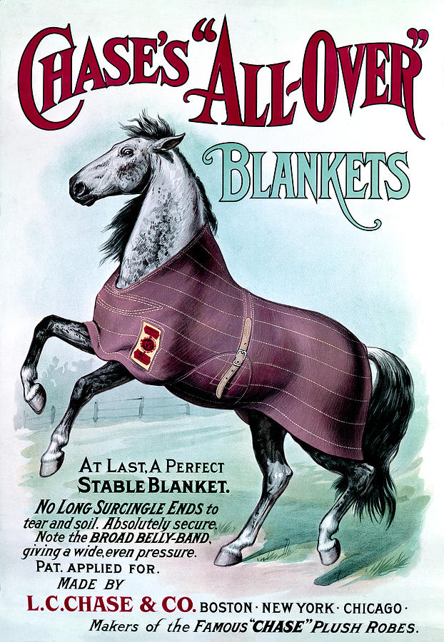 19th C. Chases Horse Blankets Painting by Historic Image