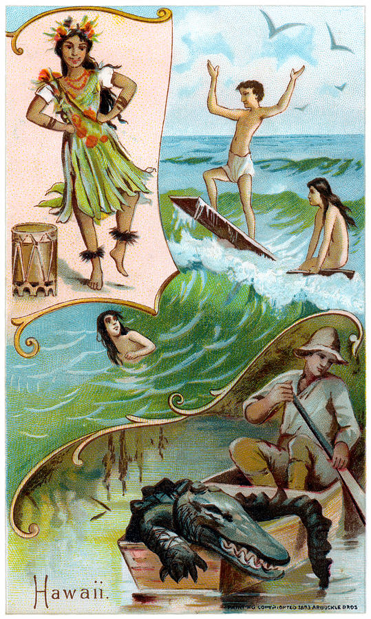 19th C. Hawaii Painting by Historic Image