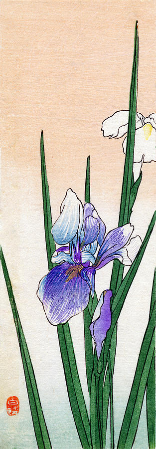19th C. Japanese Iris Painting by Historic Image
