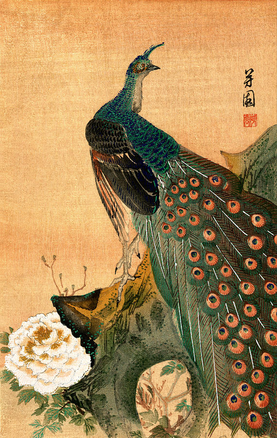 19th C. Japanese Peacock Painting by Historic Image