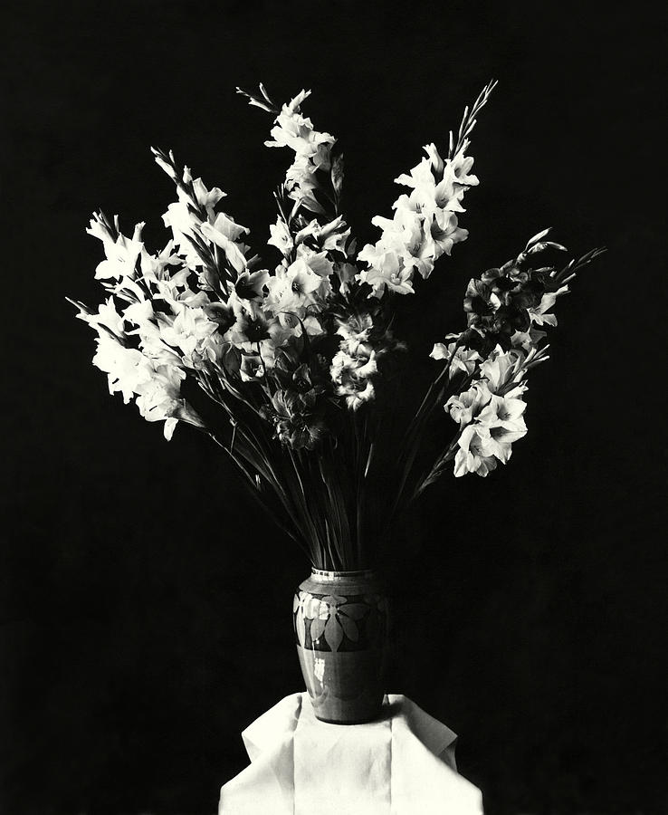 19th C. Vase of Flowers Photograph by Historic Image