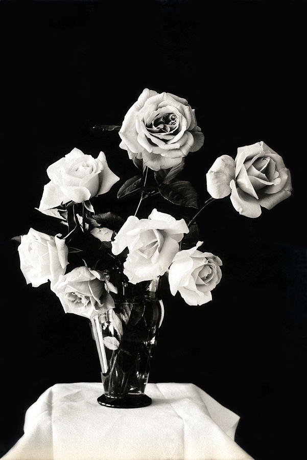 19th C. Vase of Roses  Photograph by Historic Image