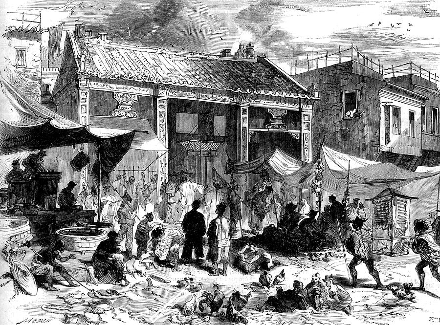 chinese queue 19th century