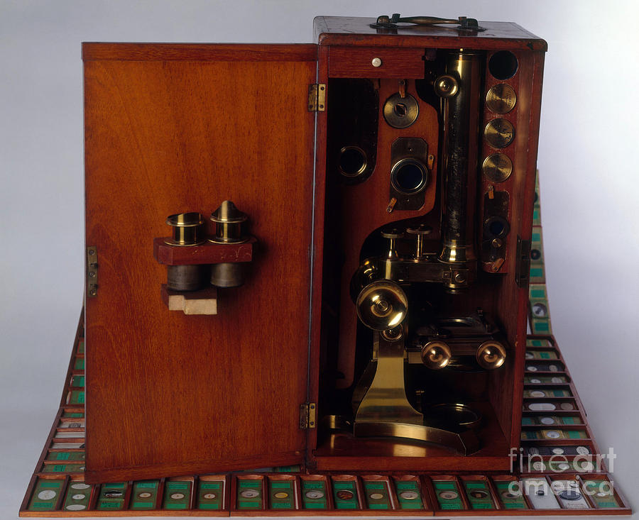 19th Century Microscope Photograph by Brooks / Brown