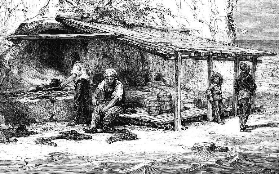 19th Century Tuna Fisherman Photograph by Science Photo Library 19th Century Tuna Fisherman Photograph by Science Photo Library