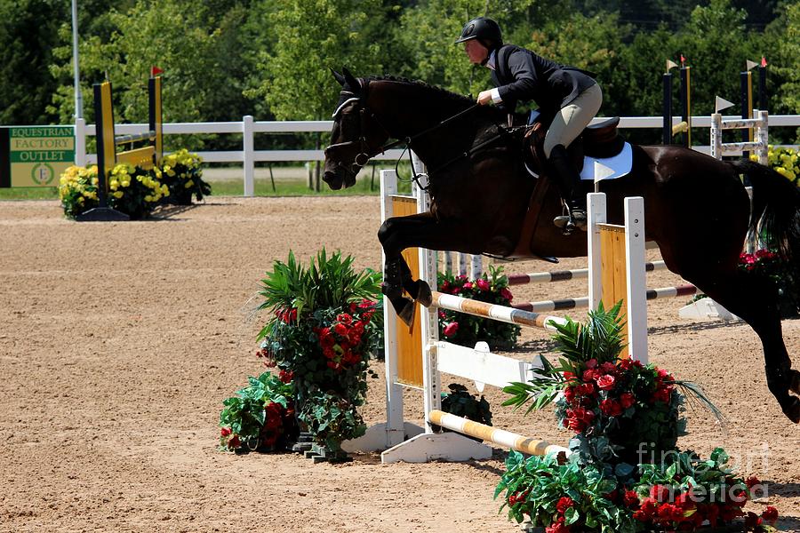 1jumper137 Photograph by Janice Byer