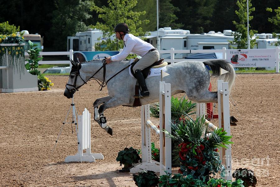 1jumper163 Photograph by Janice Byer