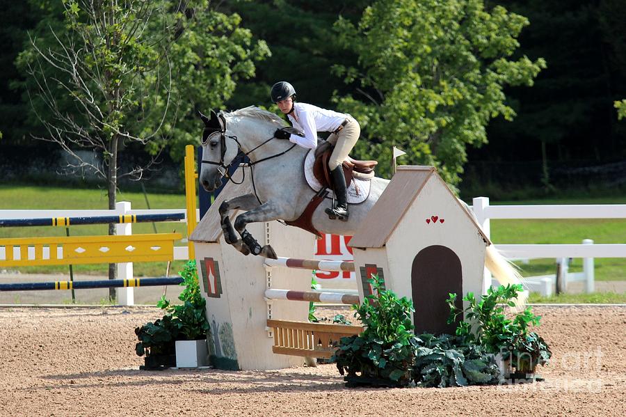 1jumper169 Photograph by Janice Byer